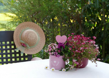 Gegen Einsamkeit: ‚Die LandFrauen kochen und wir essen gemeinsam‘