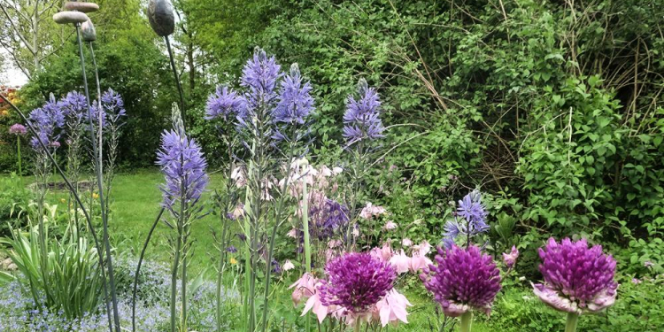 Offener Garten in Basedow