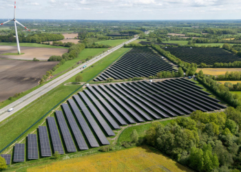 Grünstrom-Boom geht weiter: SH Netz schließt 2024 rund 30.000 Erneuerbare-Energien-Anlagen an