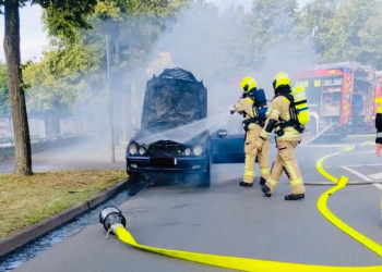 Ehrenamtler der Möllner Feuerwehr wurden im Juni 2025 insgesamt 29 mal um Hilfe gebeten