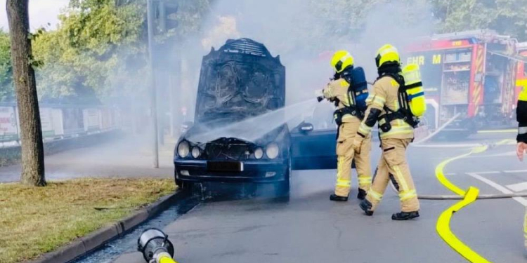 Ehrenamtler der Möllner Feuerwehr wurden im Juni 2025 insgesamt 29 mal um Hilfe gebeten