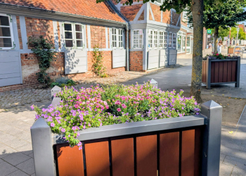 Erneuter Blumenklau aus Geesthachter Bepflanzungen