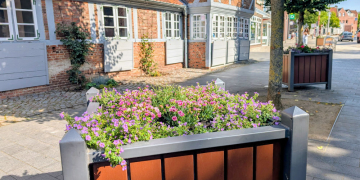 Erneuter Blumenklau aus Geesthachter Bepflanzungen