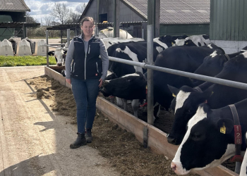 Automatisierte Melksysteme: Innovationen für die moderne Milchviehhaltung