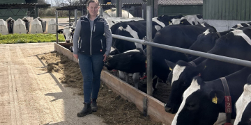 Automatisierte Melksysteme: Innovationen für die moderne Milchviehhaltung