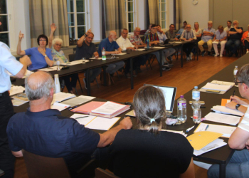 Marktplatzbegrünung: Ratzeburger Bauausschuss entscheidet sich für Variante „Bauminseln“