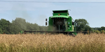 Gefahren beim Einsatz großer Maschinen an und unter Stromleitungen