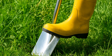 Spatenstich für grünes Gewerbegebiet Steinkrüger Koppel in Büchen