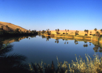 ‚Oasen – Wüstenwunder und Menschheitsträume‘