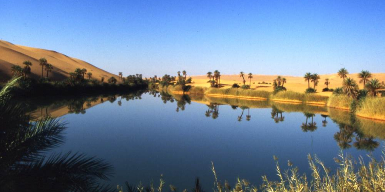 ‚Oasen – Wüstenwunder und Menschheitsträume‘