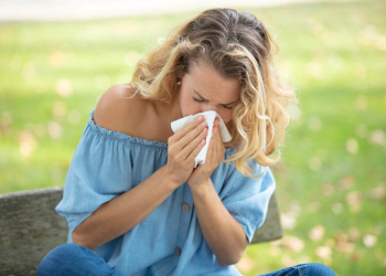 Klimawandel begünstigt Ausbreitung der hochallergenen Ambrosia-Pflanze