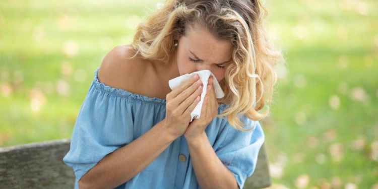 Klimawandel begünstigt Ausbreitung der hochallergenen Ambrosia-Pflanze