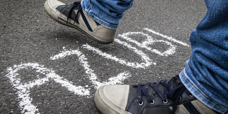 Stipendium winkt: Fitte Azubis im Herzogtum Lauenburg sollen ihren Hut in den Ring werfen