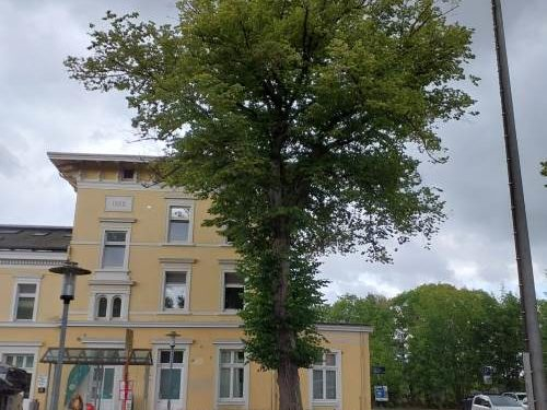 Risse im Gebäude: Bahnhof Ratzeburg gesperrt – Zugverkehr unterbrochen