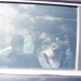 „Hund im Backofen“ – Wenn das Auto zur Todesfalle wird