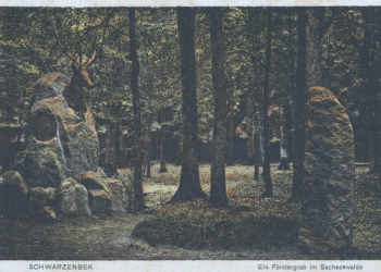 Tagesseminar über den Sachsenwald