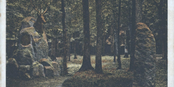 Tagesseminar über den Sachsenwald