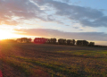 Herbstwanderung durch Feld und Flur