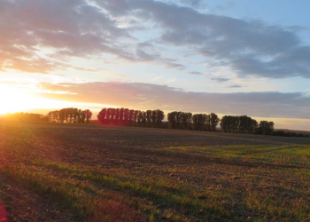 Herbstwanderung durch Feld und Flur