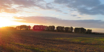 Herbstwanderung durch Feld und Flur