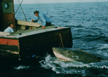 Filmclub-Classic: ‚Der weisse Hai‘