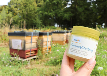 Erster Honig beim therapeutischen Imkern