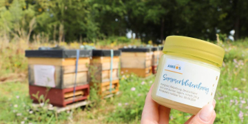 Erster Honig beim therapeutischen Imkern