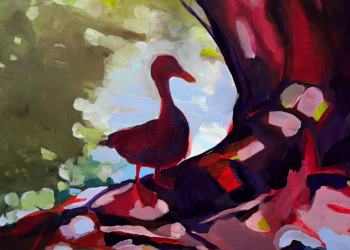 Neue Ausstellung in der Treppenhausgalerie