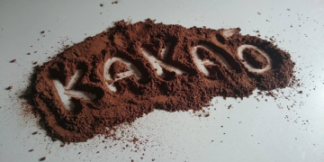 ‚Fairer Handel mit Kakao – vom Baum bis in die Tafel‘