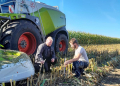 Die Maisernte startet in Schleswig-Holstein