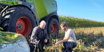 Die Maisernte startet in Schleswig-Holstein