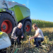 Die Maisernte startet in Schleswig-Holstein