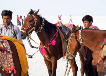 Multivision: Keine Angst vor Indien