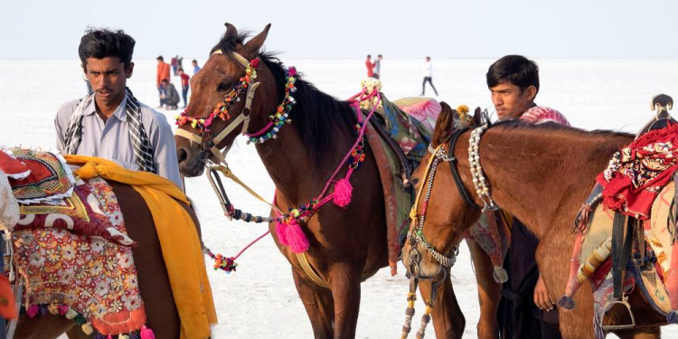 Multivision: Keine Angst vor Indien