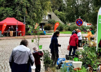 Pflanzenflohmarkt an der Ratzeburger Schlosswiese