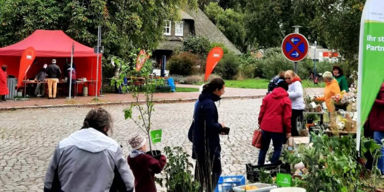 Pflanzenflohmarkt an der Ratzeburger Schlosswiese