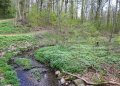 ‚Wasser, Wald und Wandel‘ – Auf historischen Spuren im Kupfermühlental