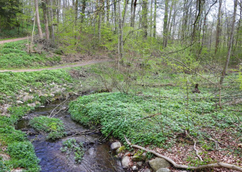 ‚Wasser, Wald und Wandel‘ – Auf historischen Spuren im Kupfermühlental