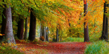 Herbstliche Naturpark-Entdeckertouren