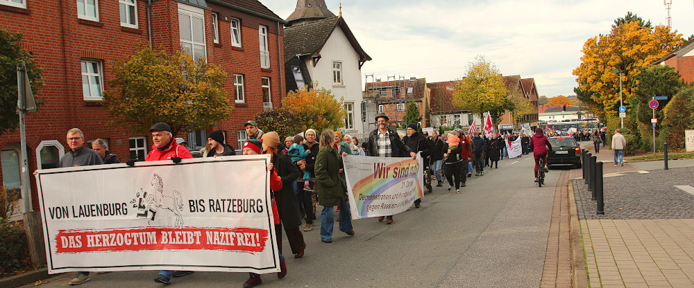 ‚Wir sind nicht still!‘ – Rund 500 Menschen setzen Zeichen für Demokratie in Mölln