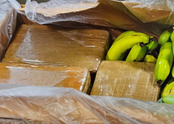 Kokain in Obstkisten: Gemeinsame Ermittlungsgruppe Rauschgift übernimmt Großermittlung