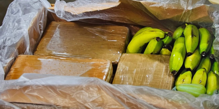 Kokain in Obstkisten: Gemeinsame Ermittlungsgruppe Rauschgift übernimmt Großermittlung