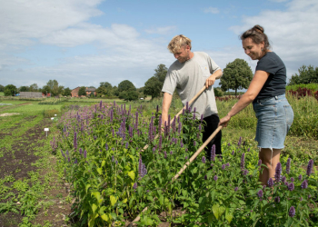 NDR Kamerateam besucht solidarischen Landwirtschaftsbetrieb in Ziethen