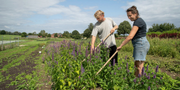 NDR Kamerateam besucht solidarischen Landwirtschaftsbetrieb in Ziethen