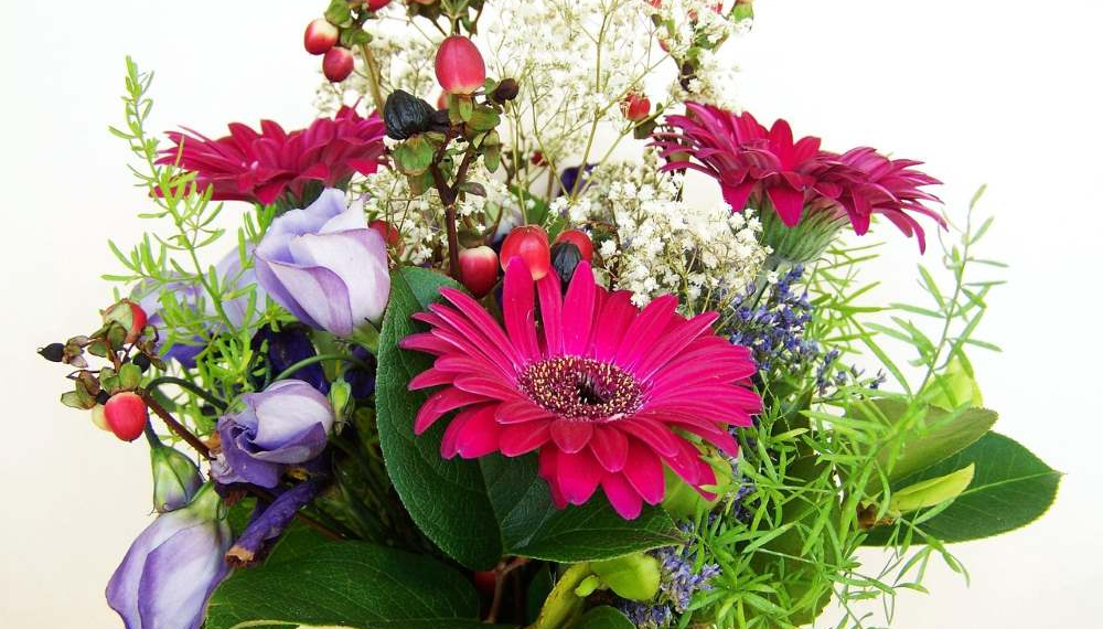 Meilenstein für Familienbetrieb: HorizontCare begrüßt die 1000. Pflegebedürftige