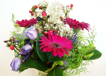 Meilenstein für Familienbetrieb: HorizontCare begrüßt die 1000. Pflegebedürftige