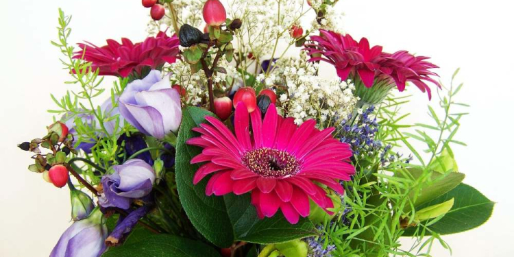 Meilenstein für Familienbetrieb: HorizontCare begrüßt die 1000. Pflegebedürftige