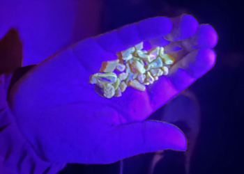 Bei dem Wetter an den Strand oder in die Kiesgrube?