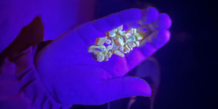 Bei dem Wetter an den Strand oder in die Kiesgrube?