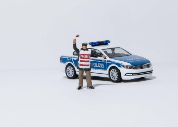 Nach Zeugenhinweisen – Trunkenheitsfahrt beendet